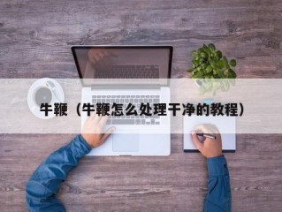 牛鞭（牛鞭怎么处理干净的教程）