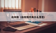 白玫瑰（白玫瑰代表什么意思）