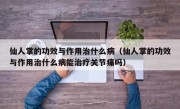 仙人掌的功效与作用治什么病（仙人掌的功效与作用治什么病能治疗关节痛吗）