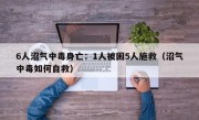 6人沼气中毒身亡：1人被困5人施救（沼气中毒如何自救）