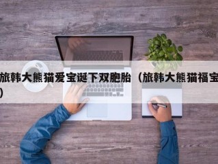 旅韩大熊猫爱宝诞下双胞胎（旅韩大熊猫福宝）