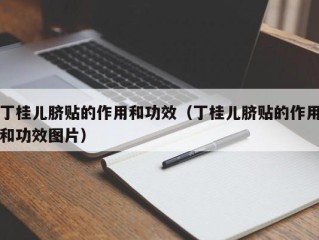 丁桂儿脐贴的作用和功效（丁桂儿脐贴的作用和功效图片）