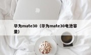 华为mate30（华为mate30电池容量）