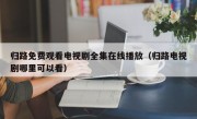 归路免费观看电视剧全集在线播放（归路电视剧哪里可以看）