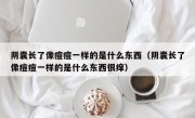 阴囊长了像痘痘一样的是什么东西（阴囊长了像痘痘一样的是什么东西很痒）