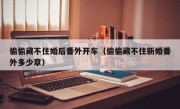偷偷藏不住婚后番外开车（偷偷藏不住新婚番外多少章）