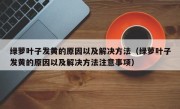 绿萝叶子发黄的原因以及解决方法（绿萝叶子发黄的原因以及解决方法注意事项）