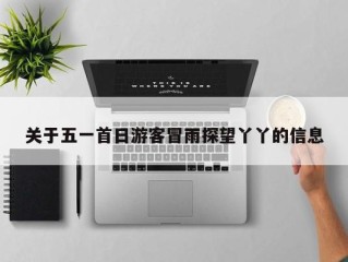 关于五一首日游客冒雨探望丫丫的信息