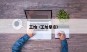 王灿（王灿星座）