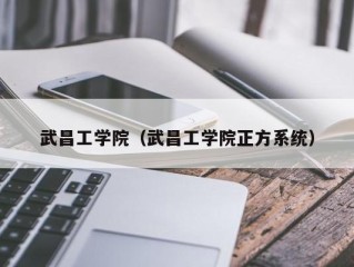 武昌工学院（武昌工学院正方系统）