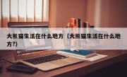 大熊猫生活在什么地方（大熊猫生活在什么地方?）