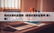 房奴试爱的全视频（房奴试爱的全视频 第1集）