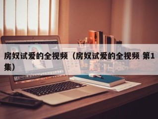 房奴试爱的全视频（房奴试爱的全视频 第1集）
