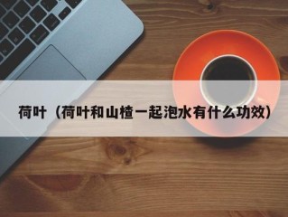 荷叶（荷叶和山楂一起泡水有什么功效）