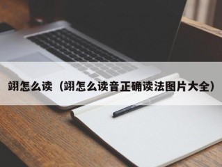 翊怎么读（翊怎么读音正确读法图片大全）