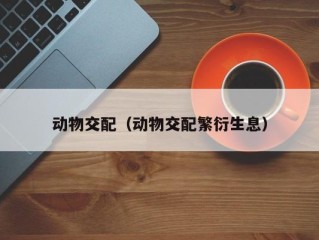 动物交配（动物交配繁衍生息）